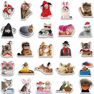Funny Stickers Graffiti Animals Cats Cat MEME Cute Kawaii