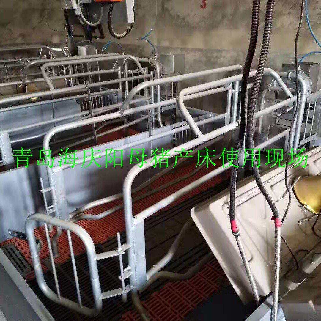 厂家专业生产欧式产床 整体热浸锌母猪分娩产 养猪设备 母猪产床