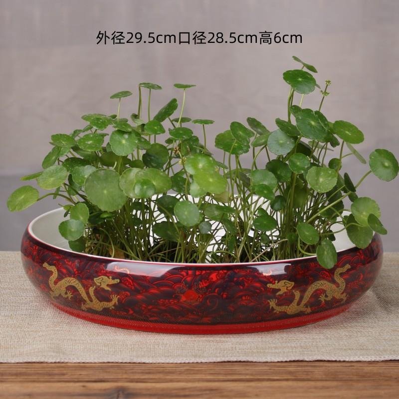 特大号陶瓷水仙花盆碗莲一叶莲专用盆水培铜钱草大口径水养植物盆
