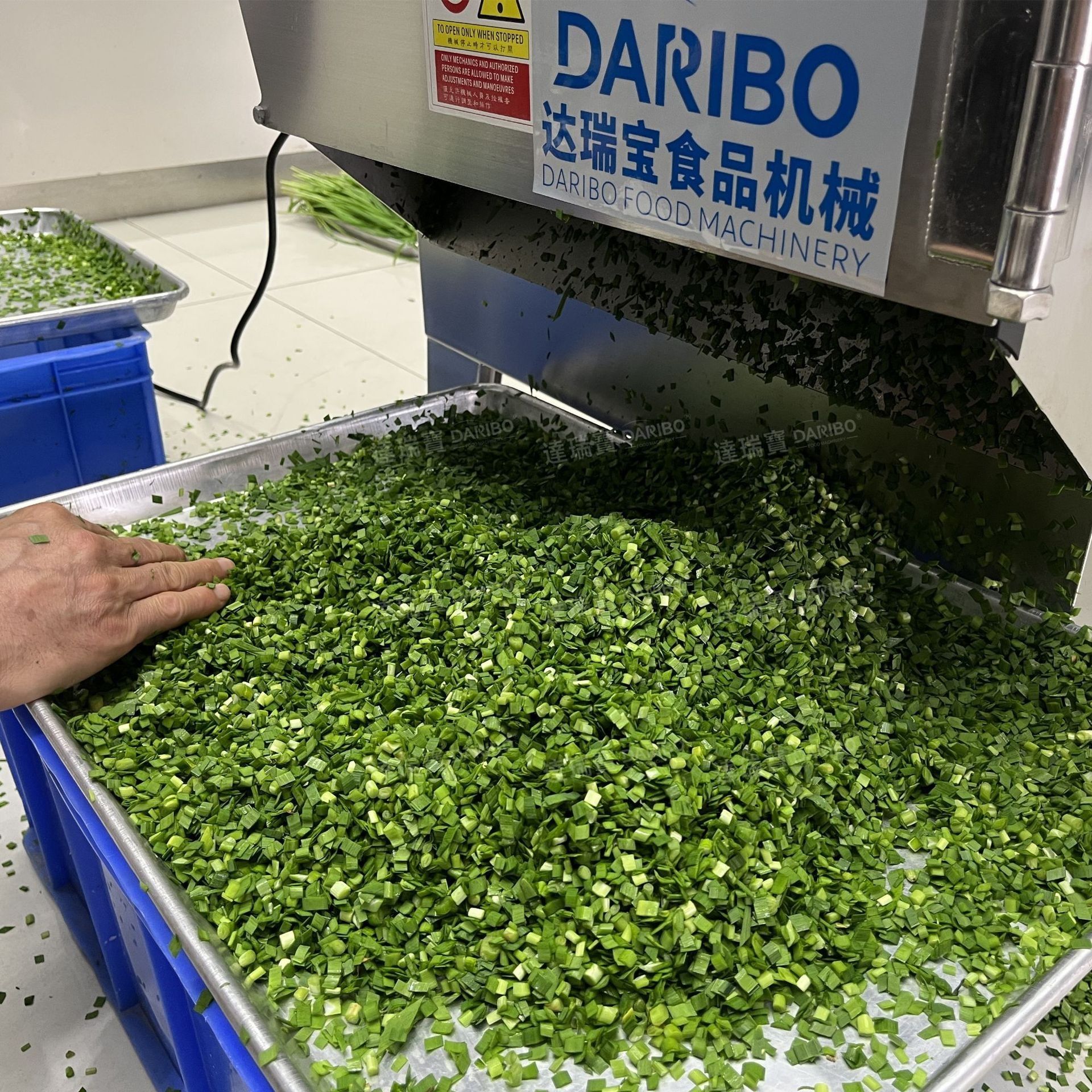 *净菜企业青菜酸菜包菜切丁机 海带豆皮切丝机杏鲍菇茄子切丝切丁