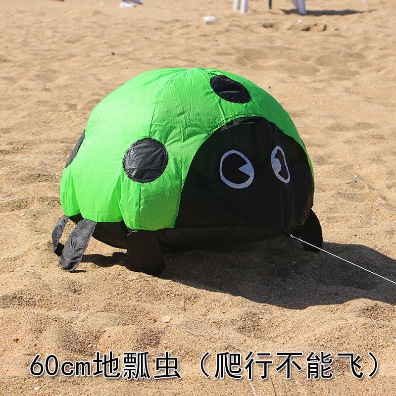 潍坊外贸风筝个性软体新款瓢虫多色挂件贴地沙滩好玩厂家批发