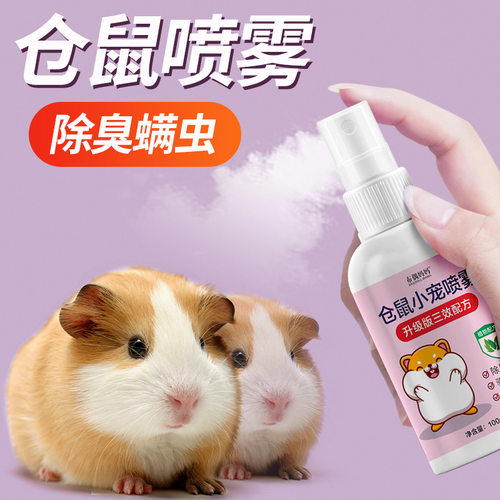喷雾剂荷兰猪布偶妈妈造景装饰