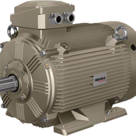 南阳防爆WEPMA5-80M-3000r/min 0.75KW 额定功率 0.18 ～ 315kW