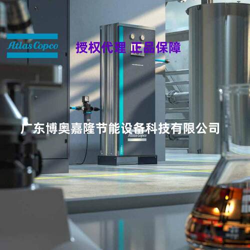 BD300+ZP-40℃零气耗阿特拉斯科普柯吸附式干燥机