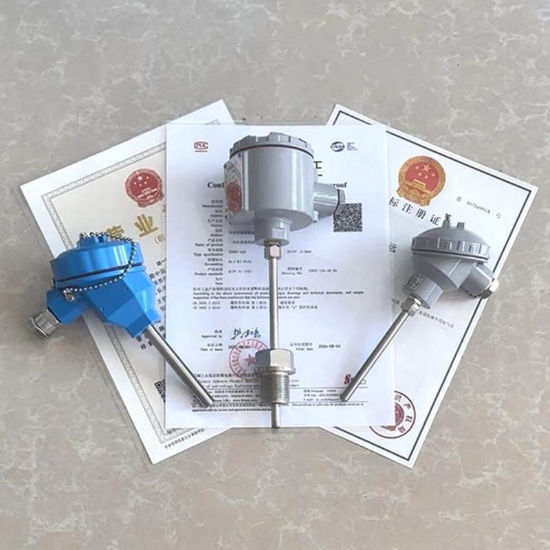 WZPK-136s-240防爆热电阻温度计PT100温度传感器变送器耐磨热电偶