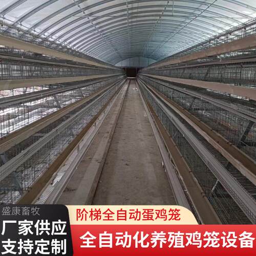全自动阶梯式四层蛋鸡笼养殖场鸡舍机械设备自动上料清粪蛋鸡笼