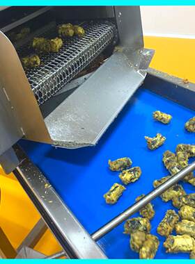 韩国寿司卷油炸机成套设备 泡菜饼油炸机电热 上浆扇贝裙边油炸机