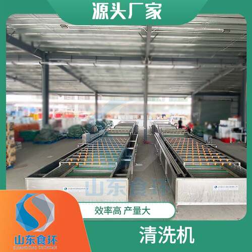 全自动大枣气泡清洗机果蔬清洗机蔬菜喷淋式清洗设备厂家直销