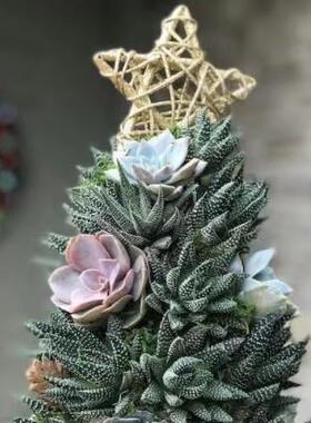 跨境新款 多肉圣诞树 节日摆件创意微景观装饰品橱柜摆件树脂摆件