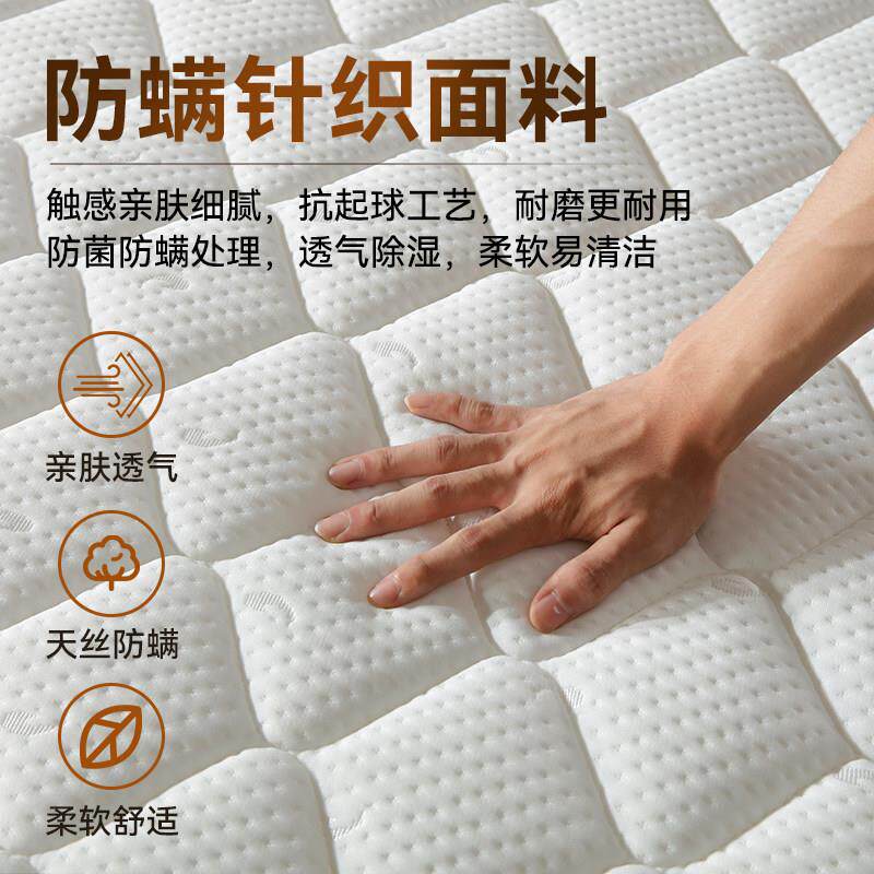 10公床垫席梦思椰棕A-012薄弹簧床垫15cm款厚乳分床胶垫硬垫子