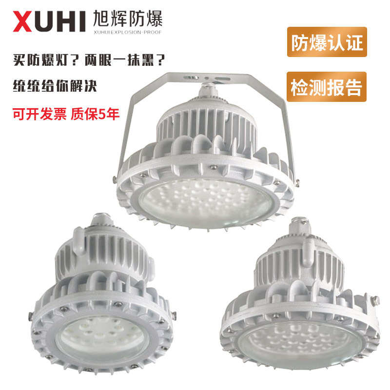 XHD610免维护LED防爆灯50W100W150W200W 防爆照明灯防爆LED灯