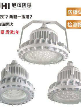 XHD610免维护LED防爆灯50W100W150W200W 防爆照明灯防爆LED灯
