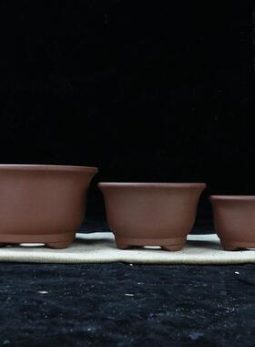 宜兴紫砂花盆室内阳台绿植种树金钟盆景盆中小圆形多肉小品陶瓷盆