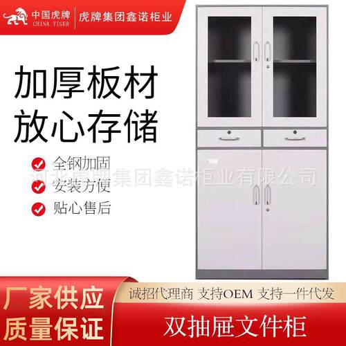 厂家供应钢制文件资料柜 财务会计储物柜大容量支持