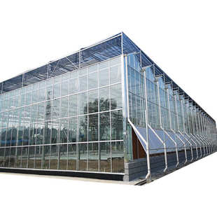 玻璃温室阳光生态种植大棚现货蘑菇蔬菜养殖展示厅热镀锌玻璃温室