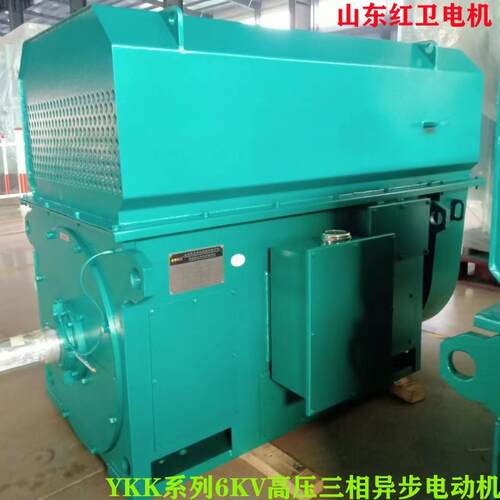 山东源头厂家直供Y4004-6-250W-6V高压三相异步电动机电机