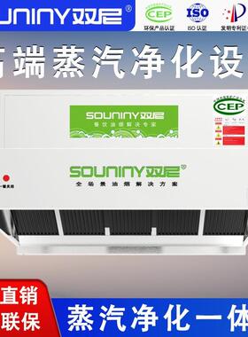 内循环蒸汽净化一体机无烟管大型餐饮酒店厨房蒸饭柜蒸汽净化设备