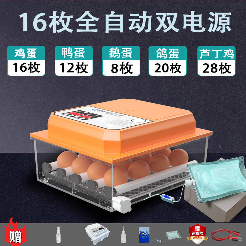 器专用家用】孵蛋孵化器箱孵化全自动小型鸽鹅110v【孵化机鸡鸭