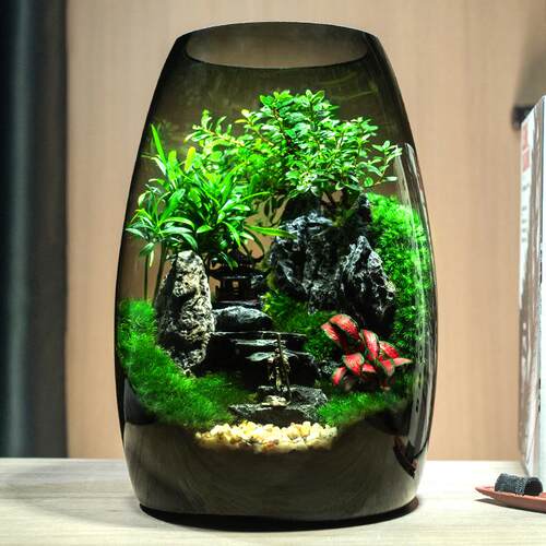 杜鹃亭苔藓微景观生态瓶造景植物雨林创意摆件桌面森林玻璃生态缸