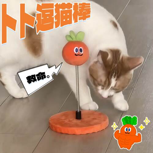 五月天卜卜弹簧球猫咪逗猫棒创意可爱WMLS周边消耗精力宠物小玩具