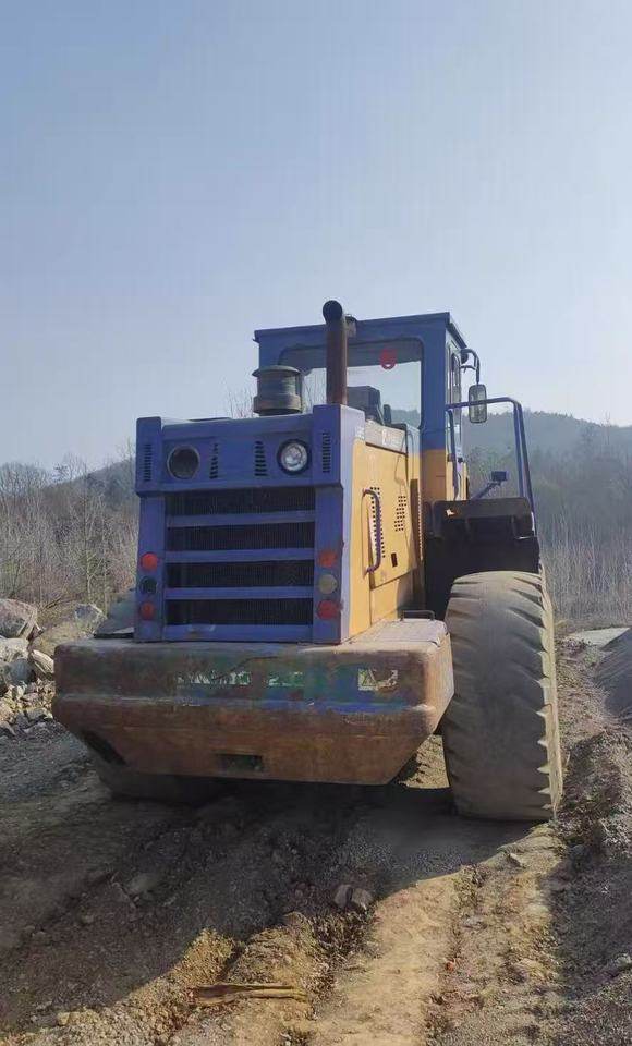 1月15日随州【资产处置】龙工50装载机一台网络拍卖公告