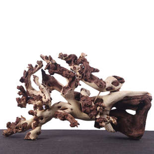 鱼缸造景装饰沉木天然枯木树根摆件乌龟躲避紫柚木树桩草缸南美缸