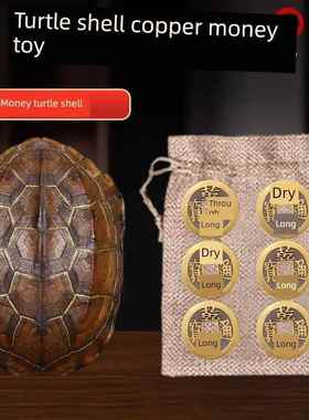 干隆铜钱六爻摇卦工具算挂手把件家居摆件天然乌龟壳真龟甲文玩