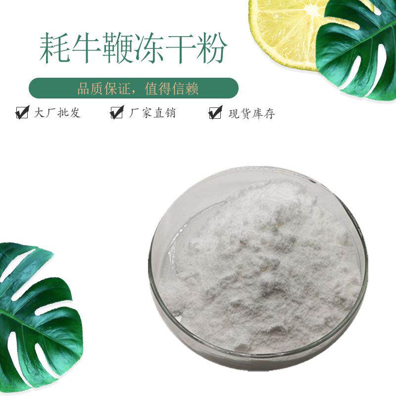 耗牛鞭冻干粉98% 现货包邮 牦牛鞭粉 牛睾丸粉