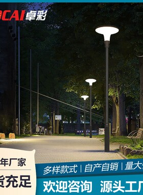 太阳能庭院灯户外超亮家用室外防水花园别墅3米高杆led小区路灯