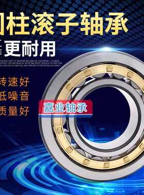 圆柱滚子轴承 N NJ NU NUP 232 234 236 238 240 244 248EM/C3/C4