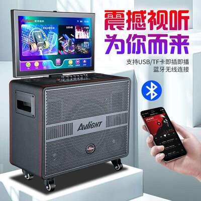 爱浪便携式户外广场舞音响带显示屏家用家庭ktv音箱套装大功率卡