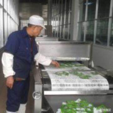 袋装茶微波杀虫机 微波桂花快速烘干设备 微波杀菌干燥设备