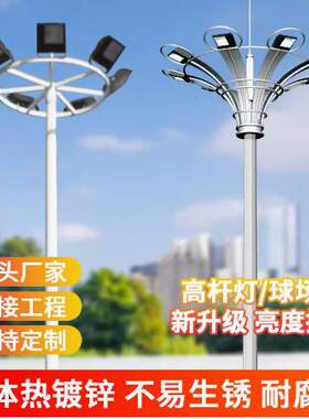 厂家销售高杆灯，15米20米25米30米高杆灯中杆灯高杆用路灯