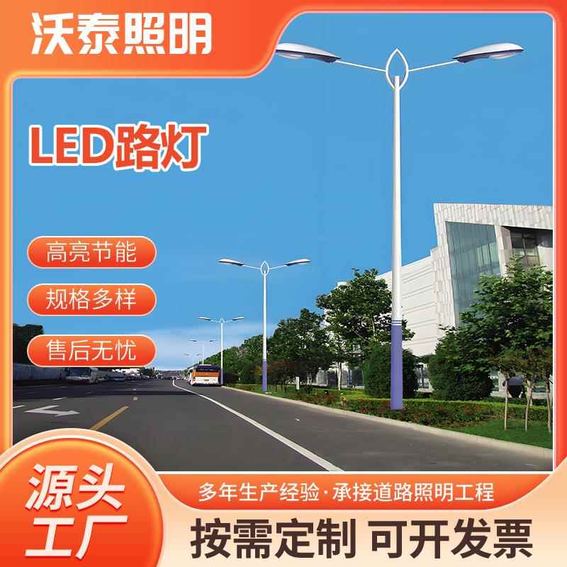 支持定制LED高品质户外市电路灯5/6/8/10/12米热镀锌路灯杆