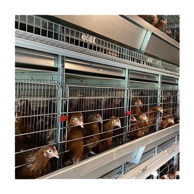框架蛋鸡笼养殖场层叠式鸡笼子H型鸡笼工业自动化养鸡设备厂家