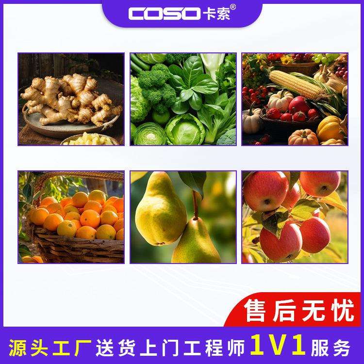 卡索重量检测机农产品称重机 厂家检重秤 食品重量分选秤