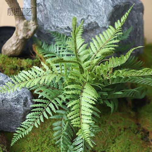 成套绿植景观仿真植物组合套装楼梯下家居展厅办公室软装仿真植物