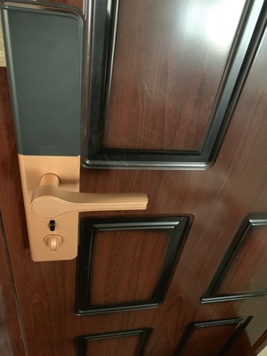 朋友推荐德施曼T91指纹锁怎么样，分享下我的体验感受