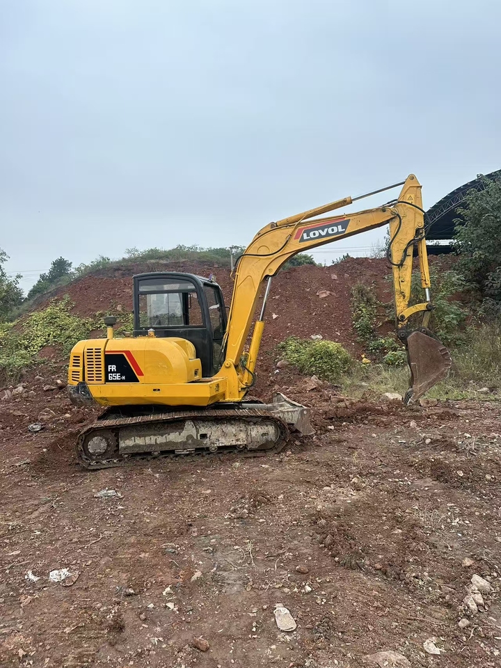 12月1日金华雷沃65挖掘机网络拍卖公告