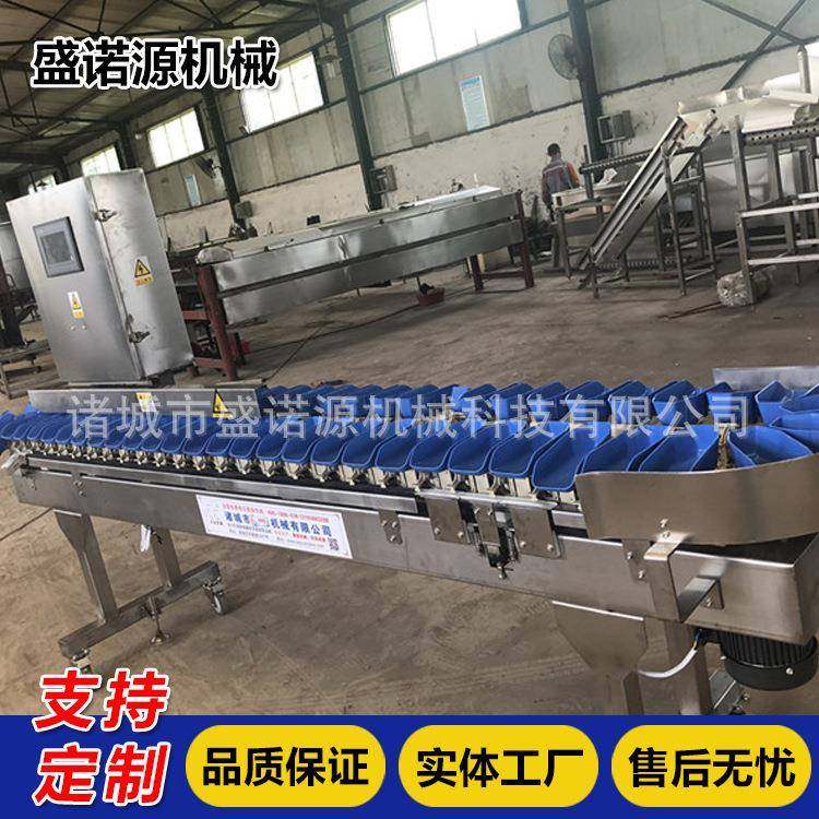称重白条鸡鸭分级称翅中重量分拣机价格养殖场家禽分选设备厂家