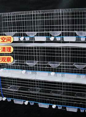 鸽笼鸽子笼12位鸽笼4层养殖白鸽笼鸽笼用品用具3层4层养殖鸽子笼