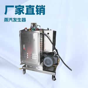 691218KW千瓦)电蒸汽发生器锅炉圣诞树制作加工叶片加热器