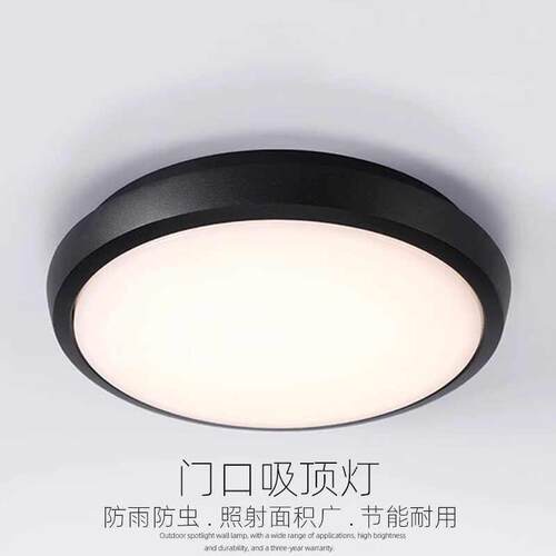 户外入户门口吸顶灯防雨防虫室外庭院走廊别墅屋簷过道玄关阳台灯