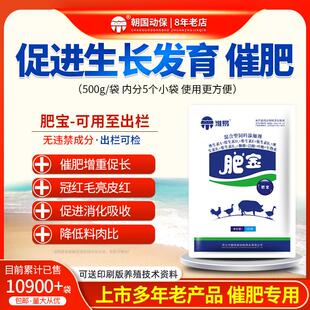 朝国动保肥宝肉鸡鸭鹅猪牛羊用增肥一号速旺长肉王催肥促长素增重