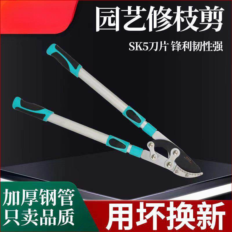 修剪树枝园林果树剪刀修枝剪高粗枝剪大力剪省力伸缩园艺工具剪子