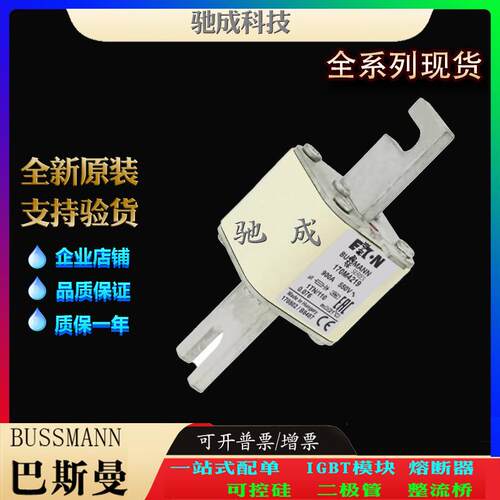 巴斯曼170M4219 170M4238 170M4239 现货直销零售 快速熔断器