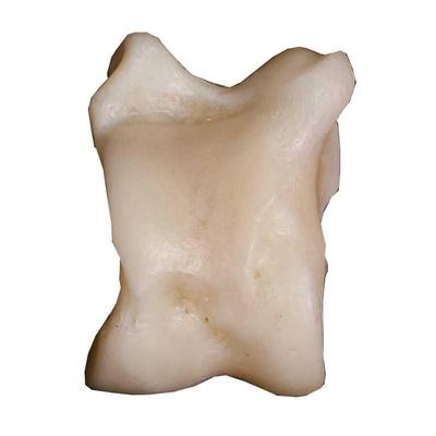 羊Gaga羊骨包压草裙舞工具晚会呼呼声快羊头骨80后怀旧玩具包邮