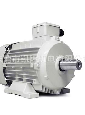 MMER-E电机 P398MS90L4B5