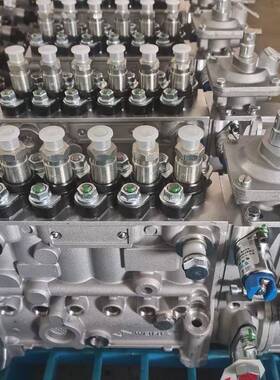 供应1015569248喷油泵总成(欧3共轨2/4门R61540080101高压油泵