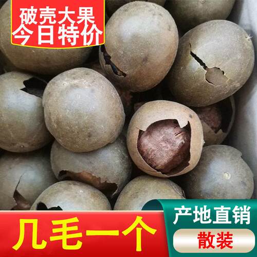 广西永福罗汉果破果散装1斤装熬汤桂林特产食养生黄金果用